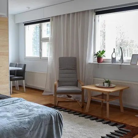 Tyylikaes Keskustayksioe, Sauna, Ilmainen Pysaekoeinti *